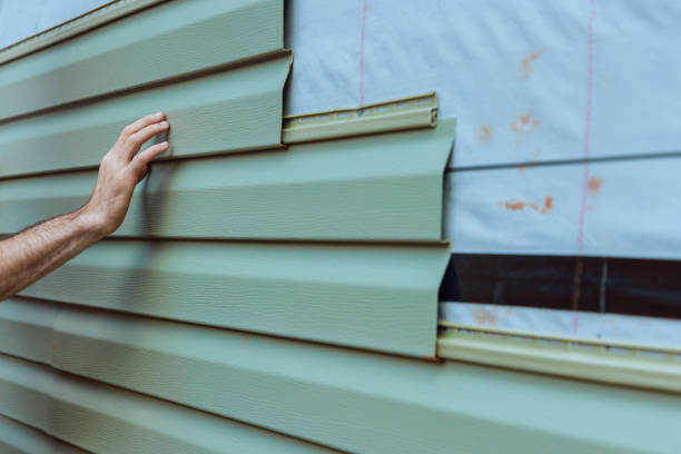 Best Siding Painting and Refinishing  in Washington Park, IL